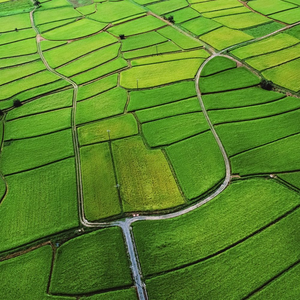agriculture-farm-land-countryside-aerial-view-green-2560x1440-3985